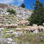 Pianadinavellihouse San Pio delle Camere