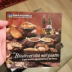 Pianadinavellihouse *