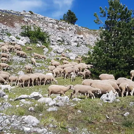 Pianadinavellihouse San Pio delle Camere
