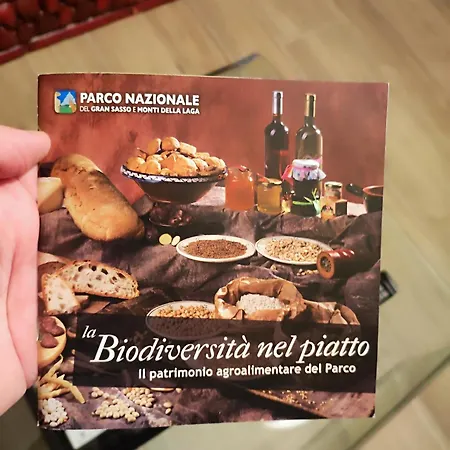 Pianadinavellihouse *