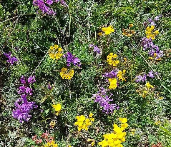 דירה Pianadinavellihouse *