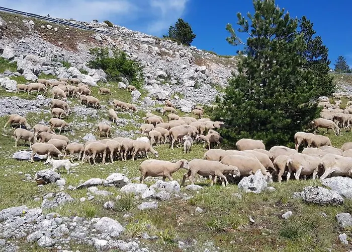 Pianadinavellihouse San Pio delle Camere